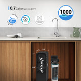 Frizzlife 1000 GPD Tankless Reverse Osmosis Water System, PD1000-TAM4